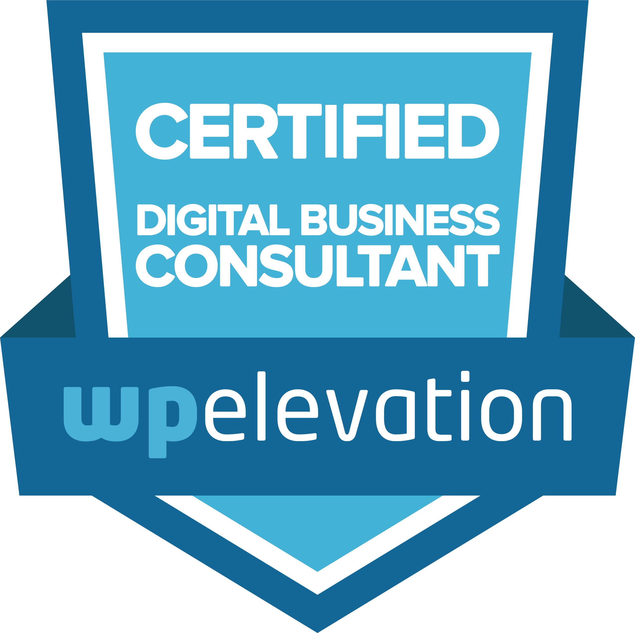 Certified Digital Business Consultant